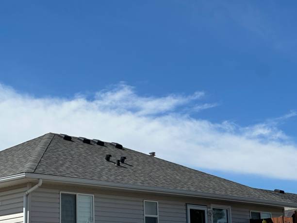 Reliable La Habra Heights, CA  Roofing repair and installation Solutions